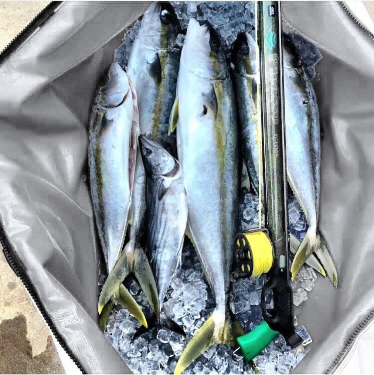 Tote Vibe EVA Thick Multifunctional Waterproof Fish Bag – Durable PVC Carry Bag