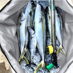 Tote Vibe EVA Thick Multifunctional Waterproof Fish Bag – Durable PVC Carry Bag
